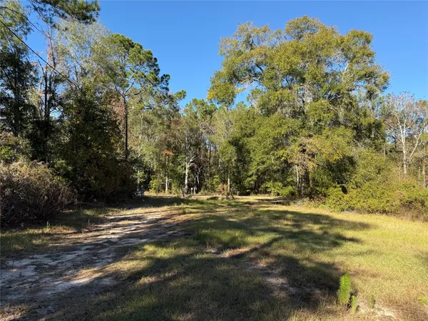 a view of dirt field with trees around