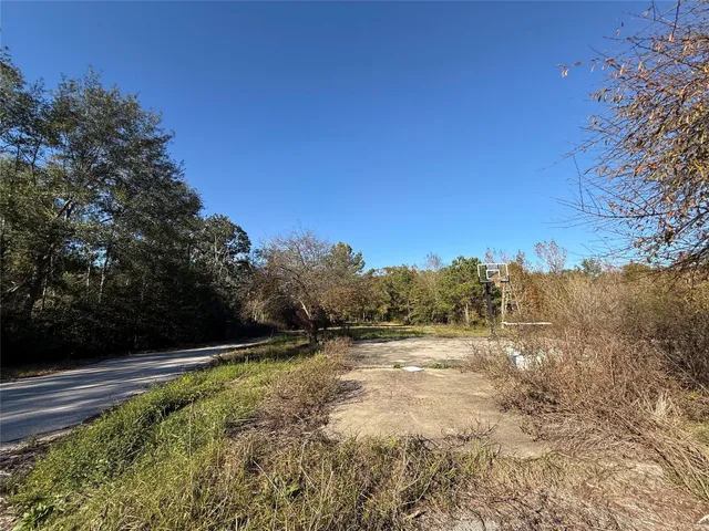 a view of a yard with a tree