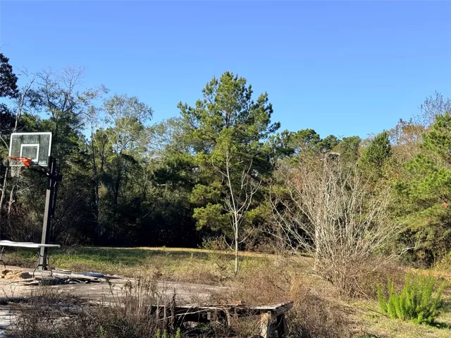 a view of a backyard
