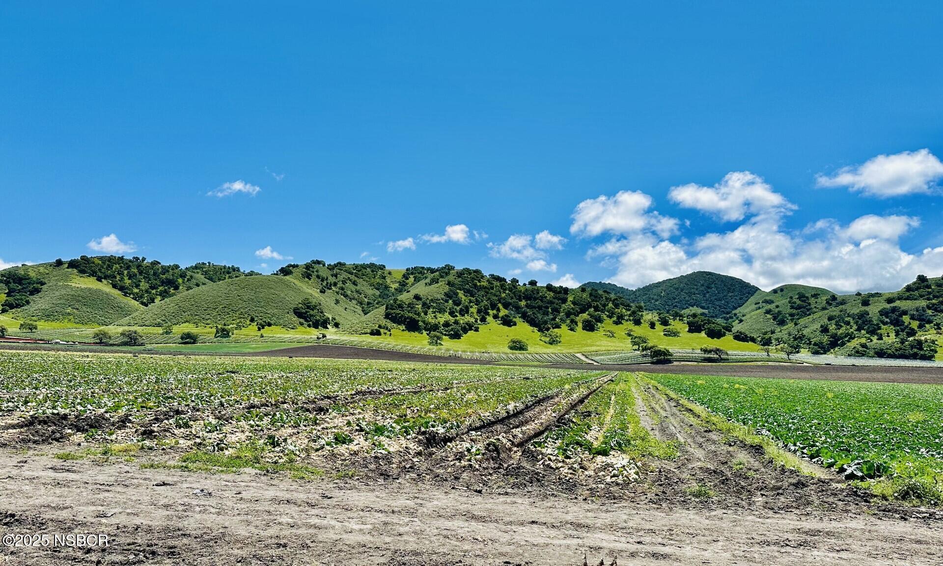 0 Ca Highway Los Alamos, CA 93440 - Photo 11 of 14 a view of a grassy field with trees