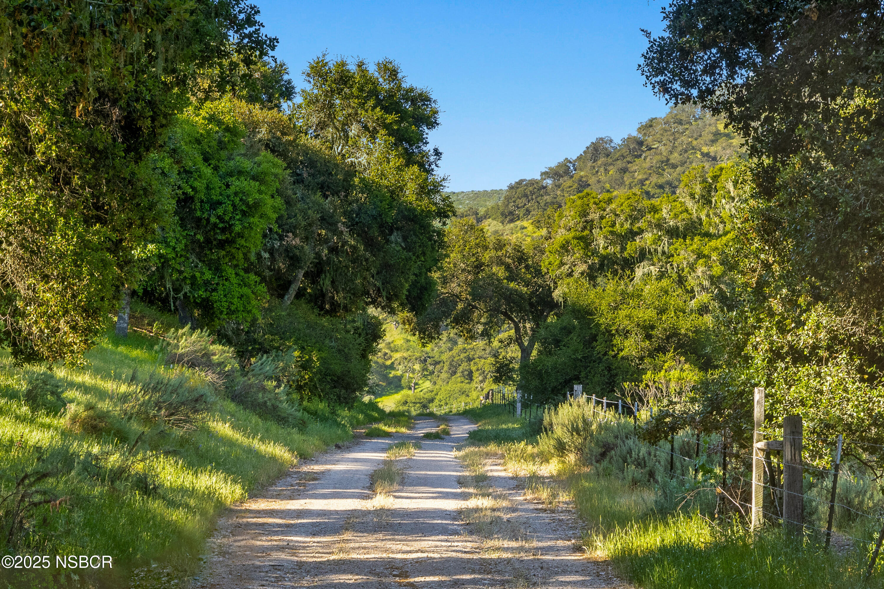 0 Ca Highway Los Alamos, CA 93440 - Photo 6 of 14 a view of a yard with plants and large trees
