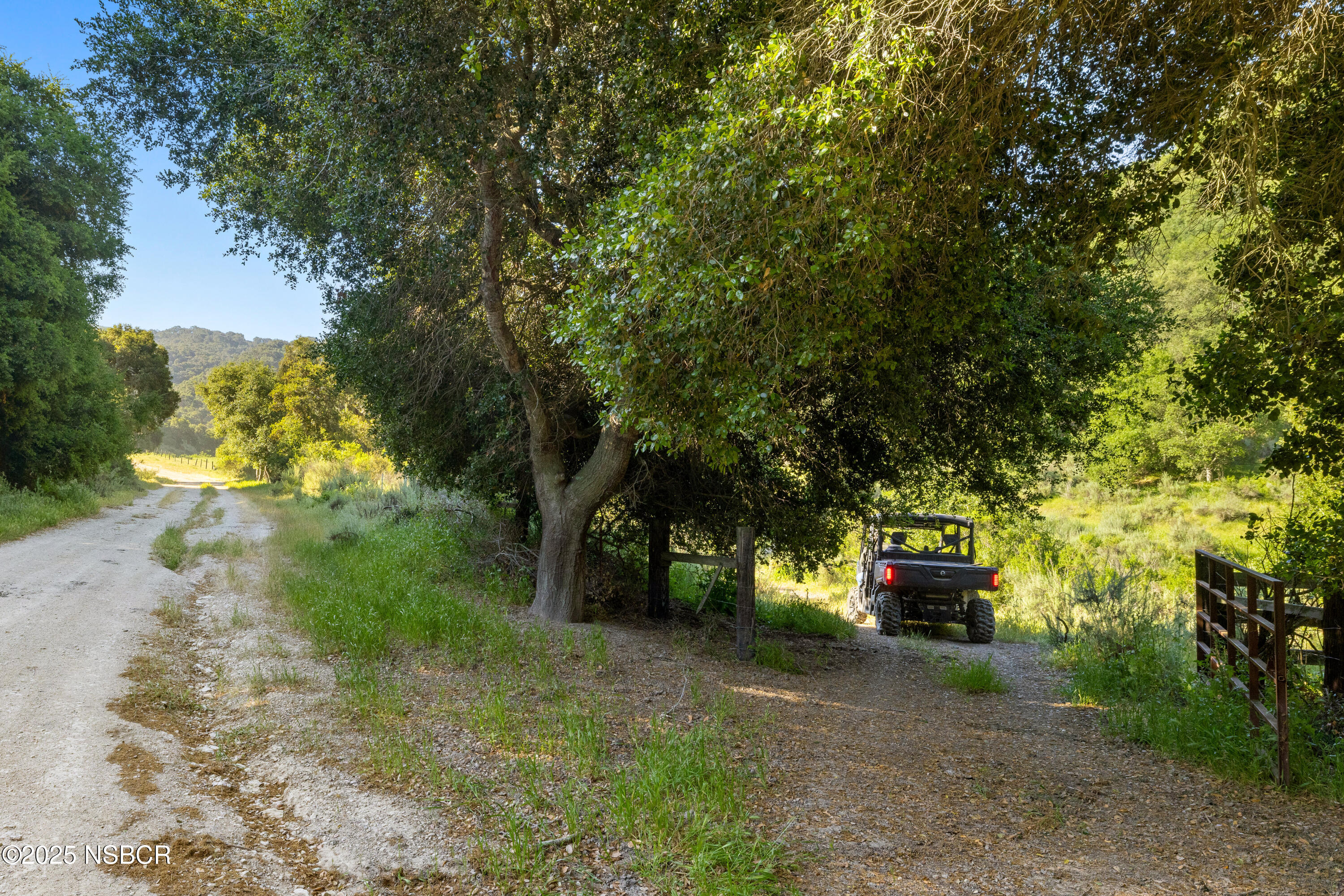 0 Ca Highway Los Alamos, CA 93440 - Photo 7 of 14 a view of a trees in front of a house