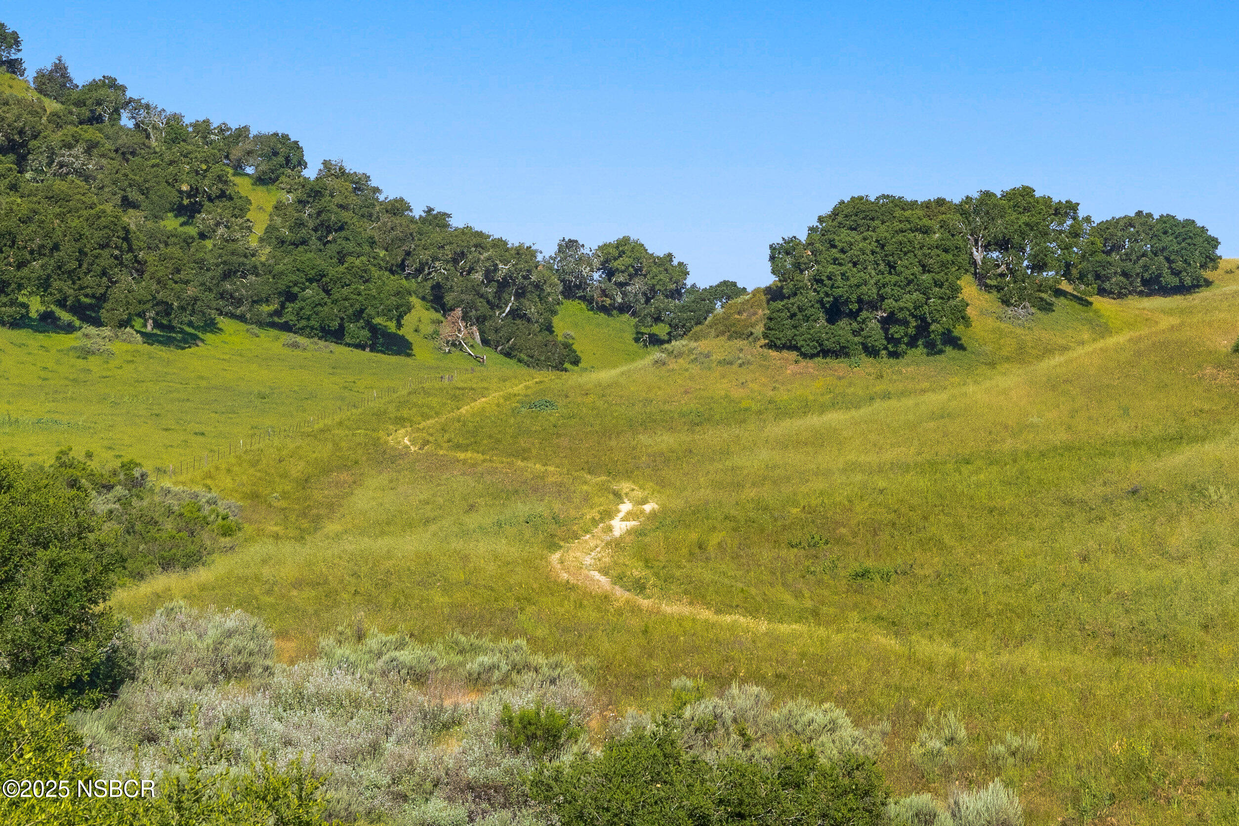 0 Ca Highway Los Alamos, CA 93440 - Photo 8 of 14 a view of yard with green space