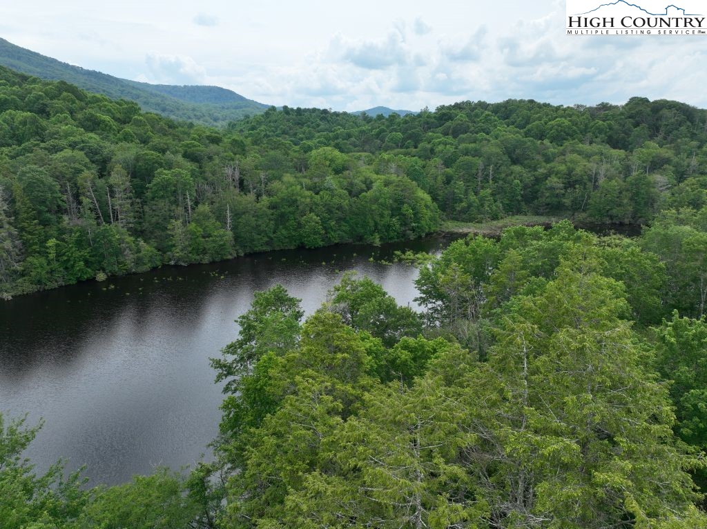 1768 Ripshin Mountain Road Roan Mountain, TN 37687 - Photo 6 of 26 an aerial view of a residential houses with outdoor space and trees