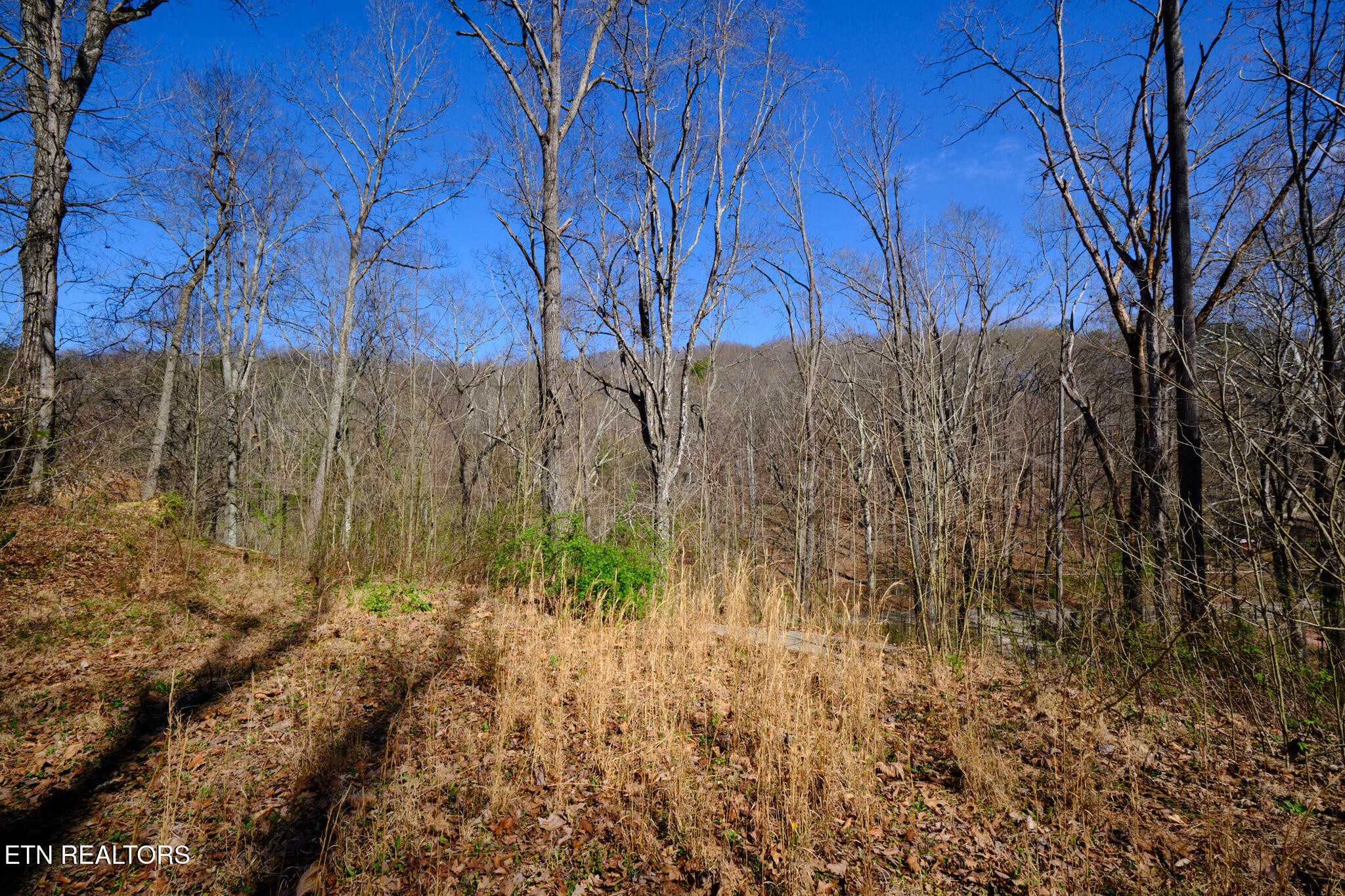 3212 Long Hollow Road Powell, TN 37849 - Photo 7 of 12 Gallery Image 7