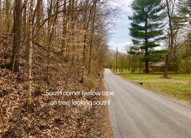 a view of a yard with flower plants