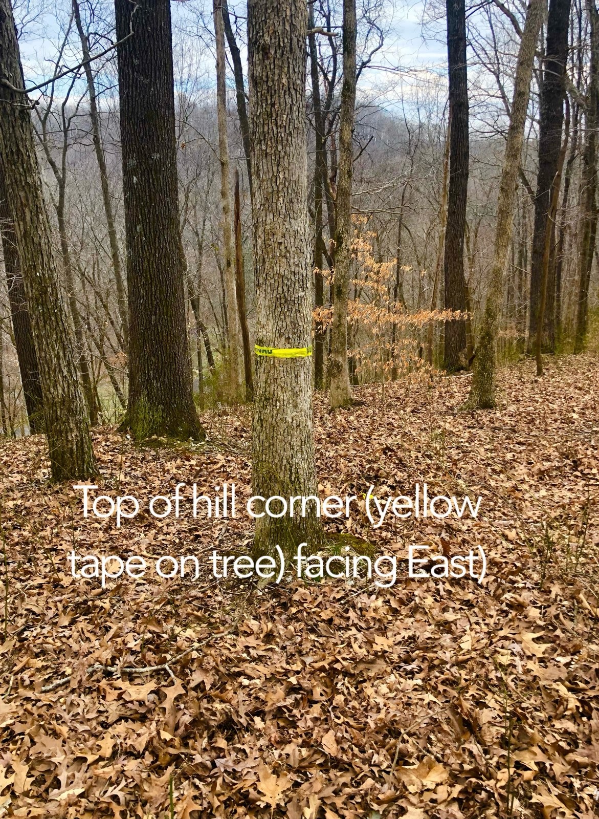 0 Simpkins Road Whites Creek, TN 37189 - Photo 5 of 10 a view of outdoor space