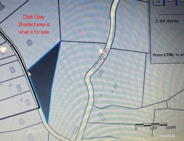 a bathroom with a shower and a plant