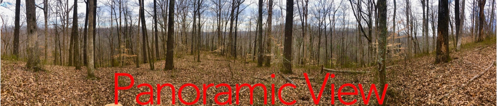 0 Simpkins Road Whites Creek, TN 37189 - Photo 9 of 10 a bathroom with a shower and a plant
