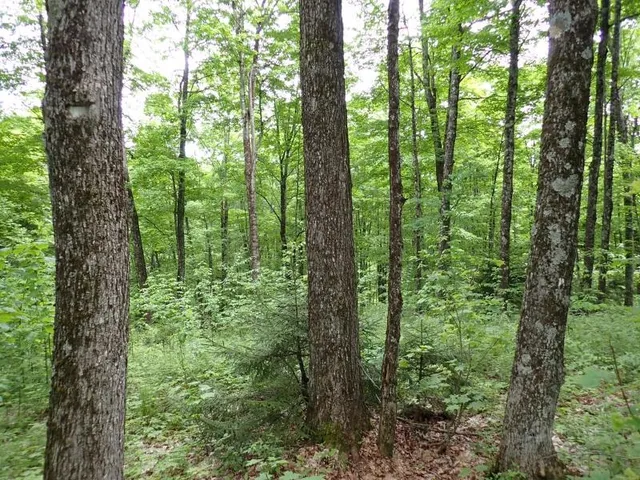 $705,375 | 0 Powder Spring Road, Topsham, VT 05076