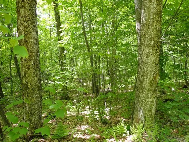 $705,375 | 0 Powder Spring Road, Topsham, VT 05076