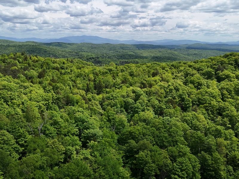 0 Powder Spring Road Topsham, VT 05076 - Photo 2 of 17