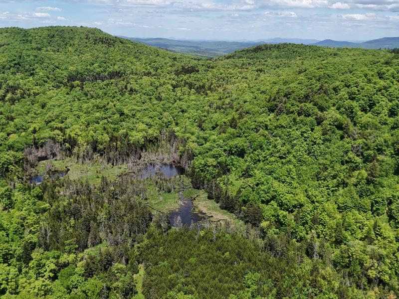 0 Powder Spring Road Topsham, VT 05076 - Photo 3 of 17