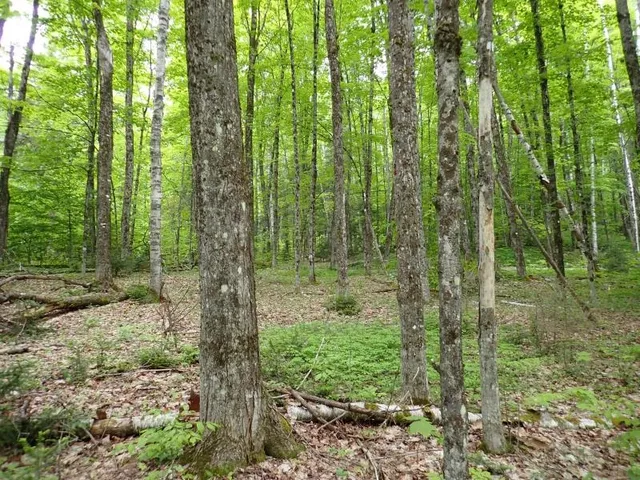 $705,375 | 0 Powder Spring Road, Topsham, VT 05076