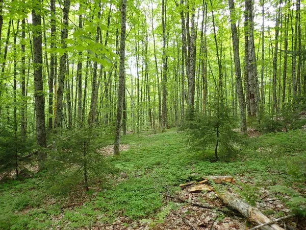 $705,375 | 0 Powder Spring Road, Topsham, VT 05076