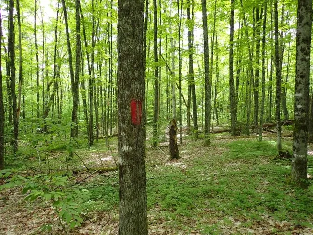 $705,375 | 0 Powder Spring Road, Topsham, VT 05076