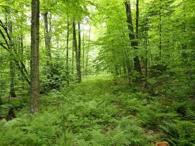 $705,375 | 0 Powder Spring Road, Topsham, VT 05076