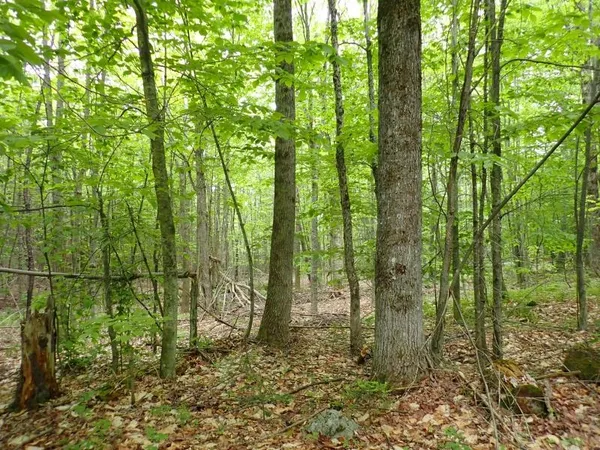 $705,375 | 0 Powder Spring Road, Topsham, VT 05076