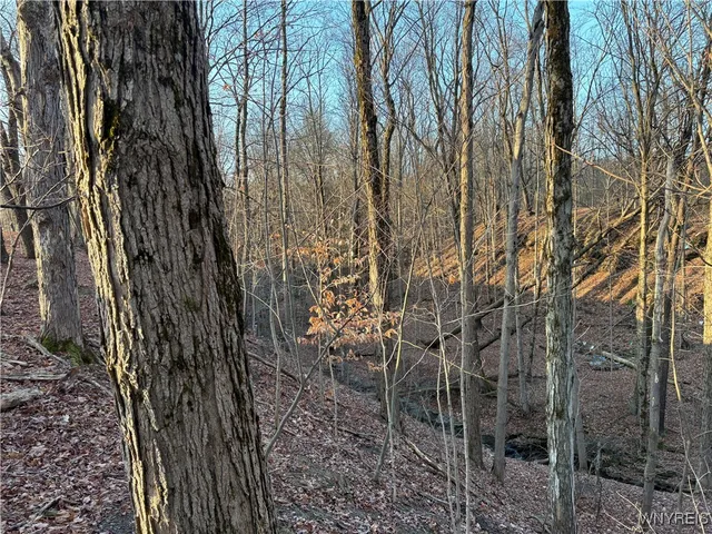 $519,000 | 412 Geise Road, Bennington, NY 14040