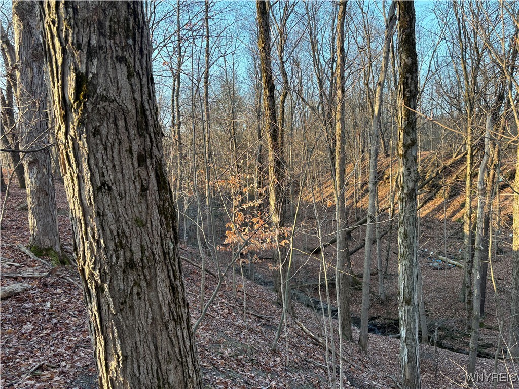 412 Geise Road Bennington, NY 14040 - Photo 7 of 7