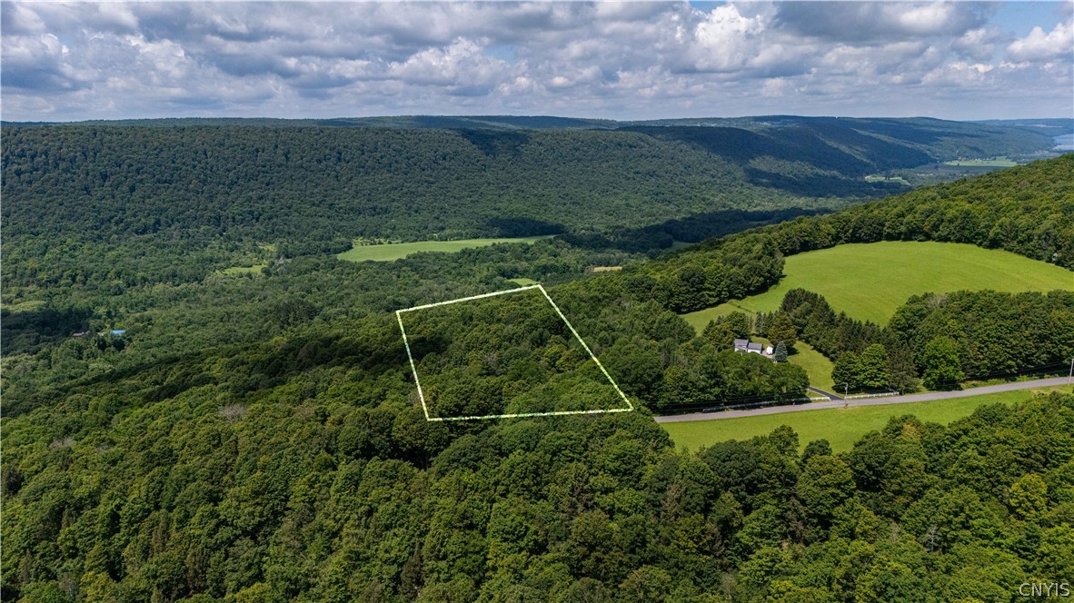 374 Strong Road Tully, NY 13159 - Photo 44 of 48