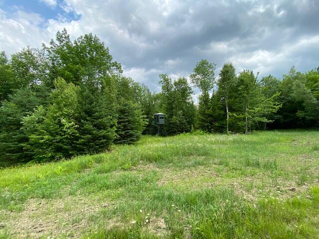 6142 Steward Road Monson, ME 04464 - Photo 9 of 26 IMG_2941