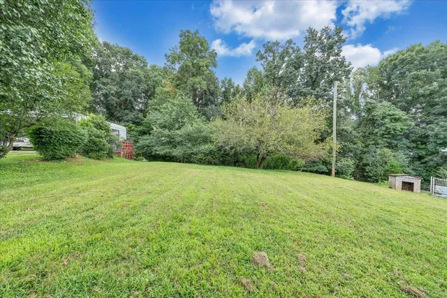a view of a field with a tree