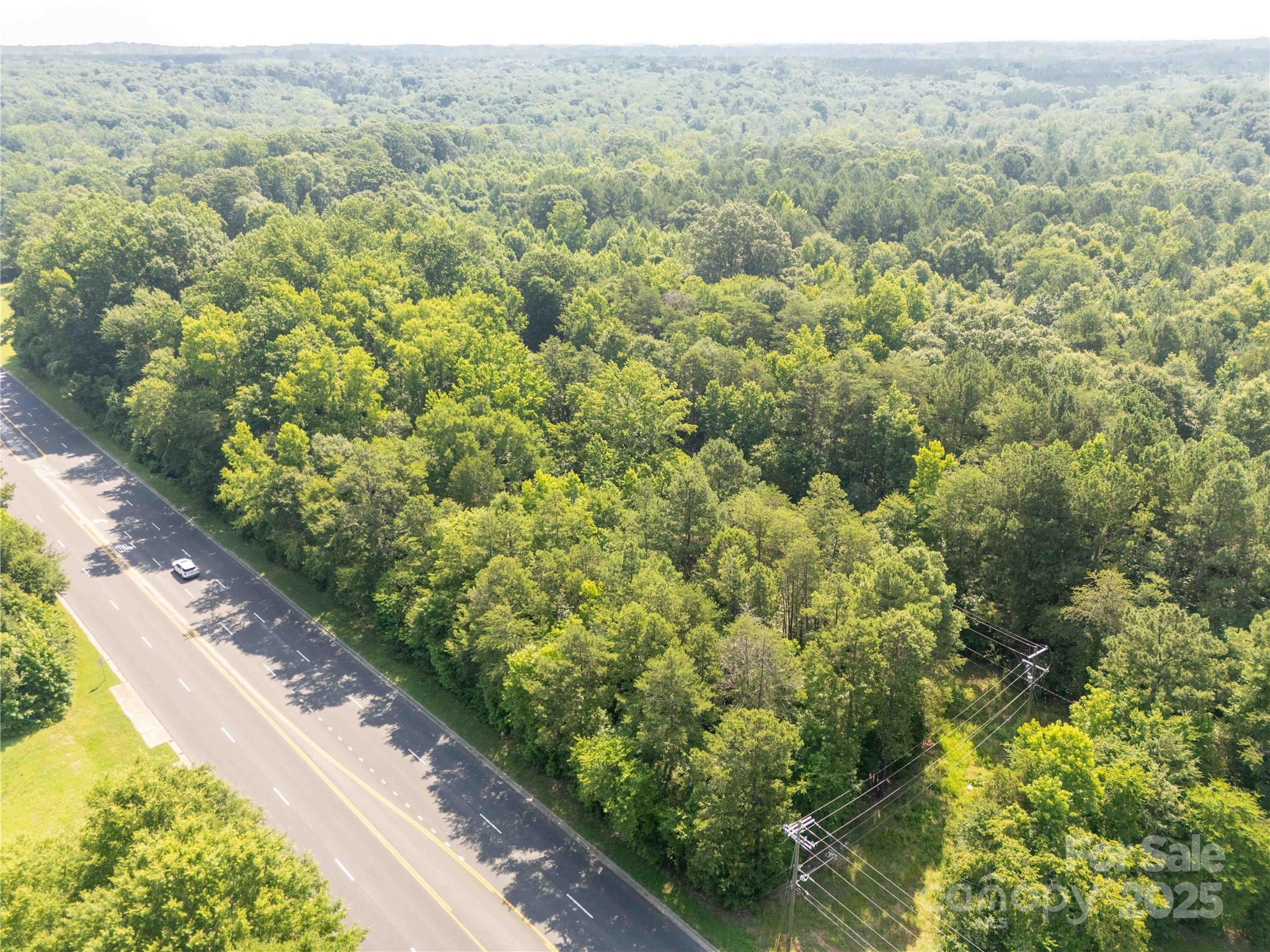 a view of a forest with a street
