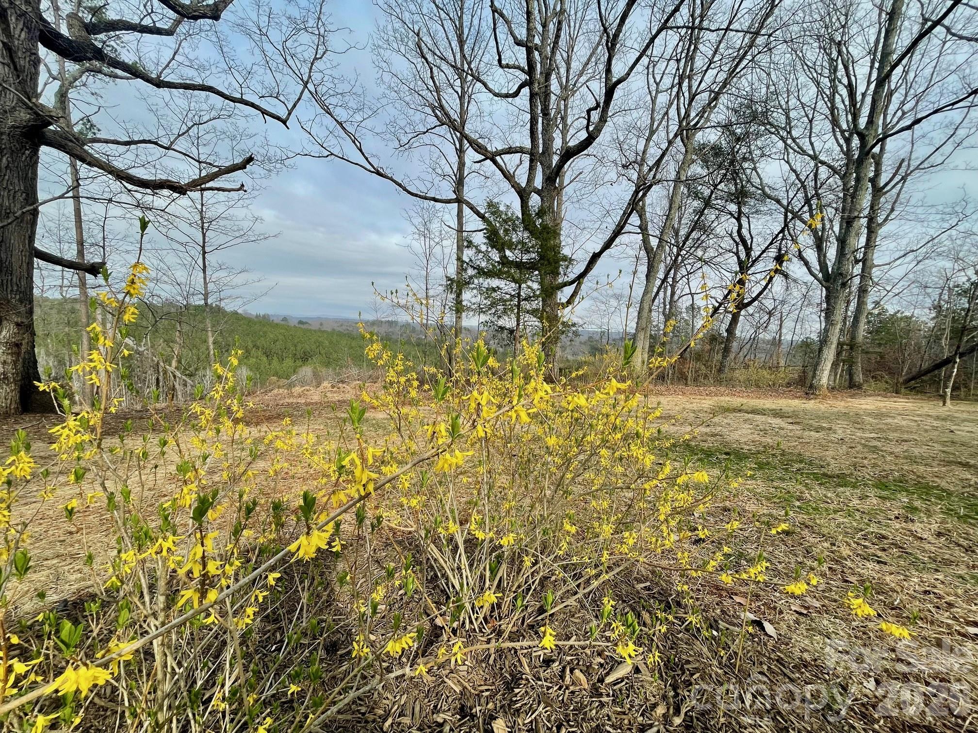 517 Union Road Rutherfordton, NC 28139 - Photo 34 of 42