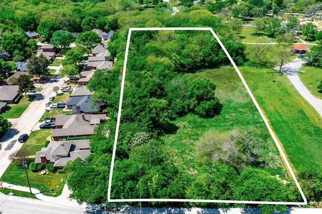 a view of a yard with plants