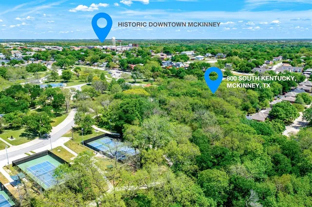 a view of a bunch of plants