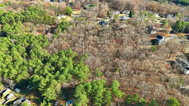 a view of a garden with plants and flowers