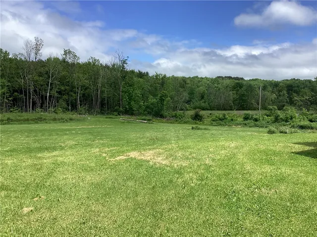 $159,500 | 117 Wrench Lane, Coventry, NY 13733