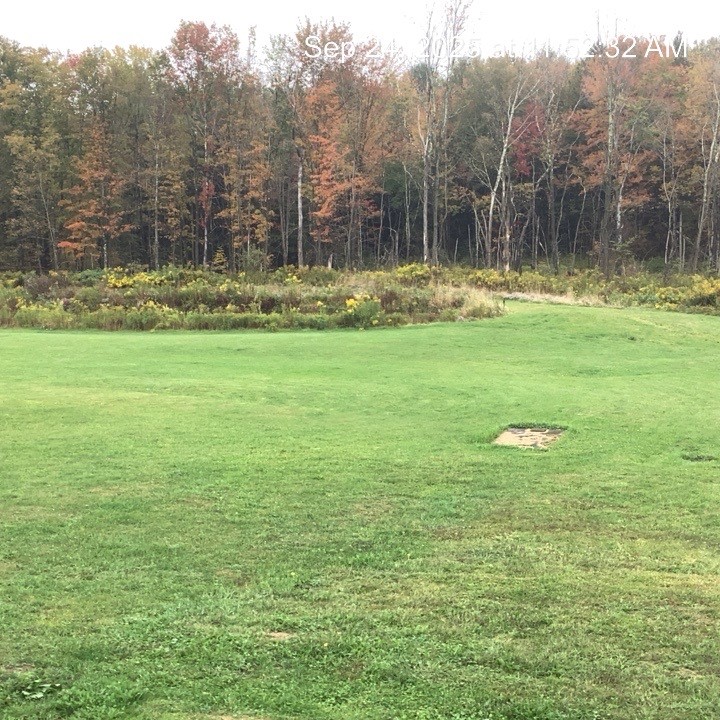 117 Wrench Lane Coventry, NY 13733 - Photo 28 of 28