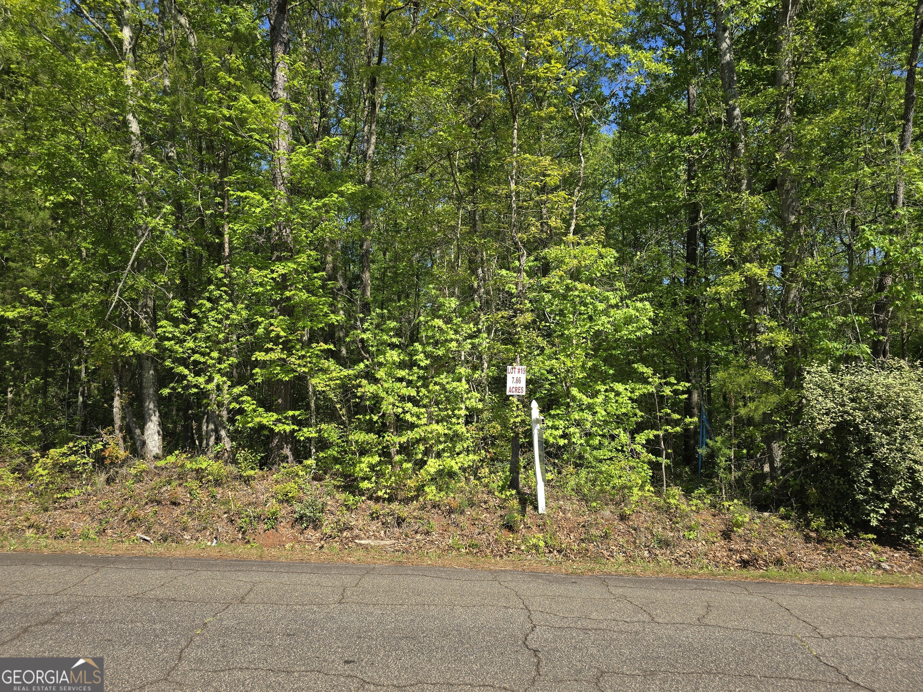 Lot 19 Smith Road Thomaston, GA 30286 - Photo 2 of 9 a view of a yard with plants and trees