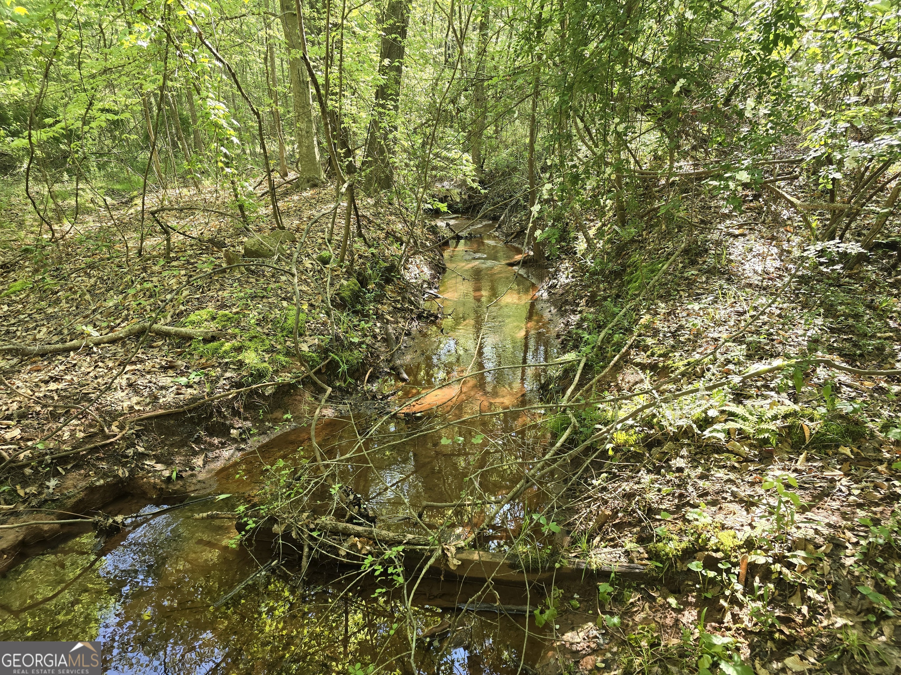 Lot 19 Smith Road Thomaston, GA 30286 - Photo 3 of 9 a view of a tree in a yard