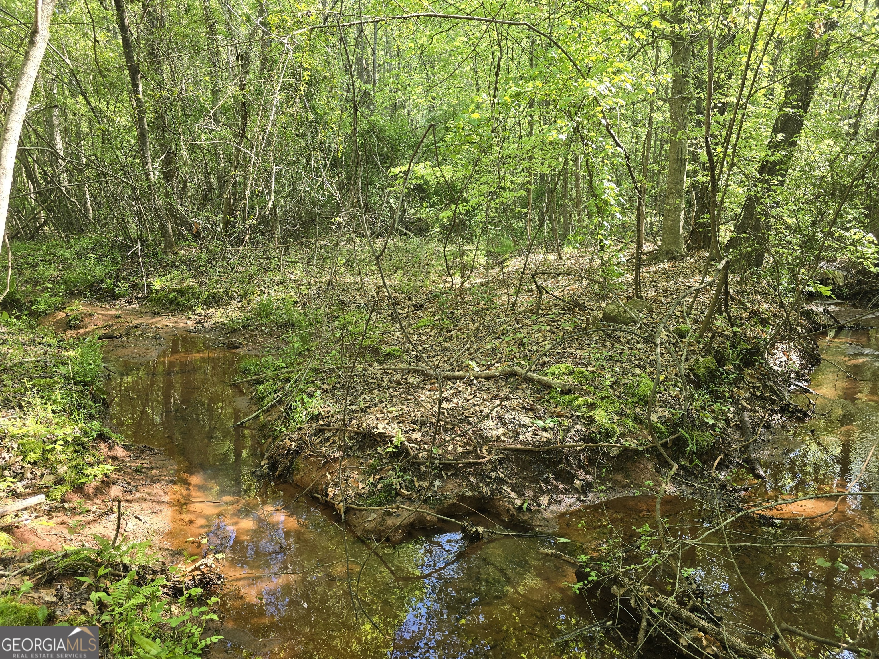 Lot 19 Smith Road Thomaston, GA 30286 - Photo 4 of 9