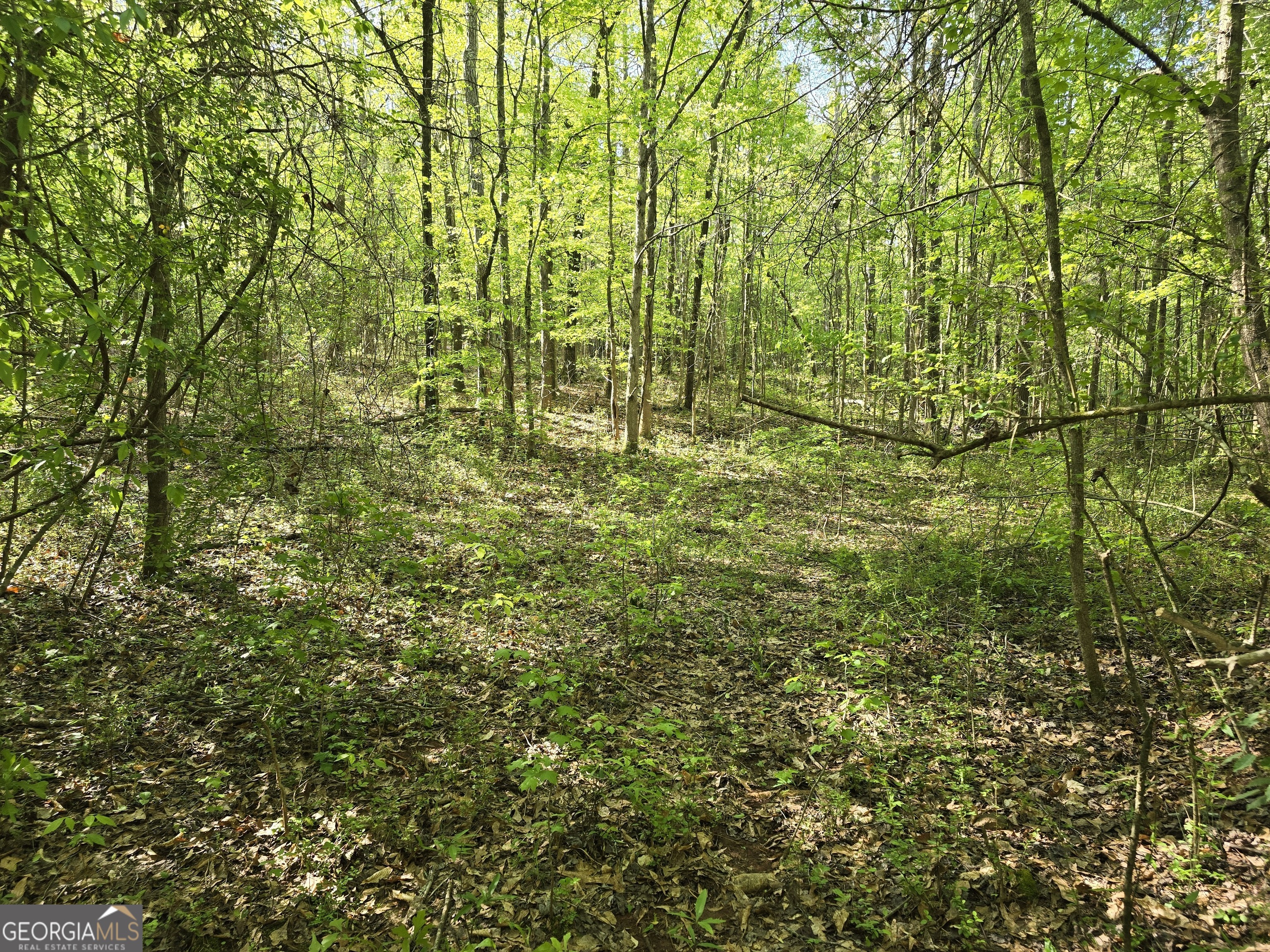 Lot 19 Smith Road Thomaston, GA 30286 - Photo 5 of 9 a view of a yard