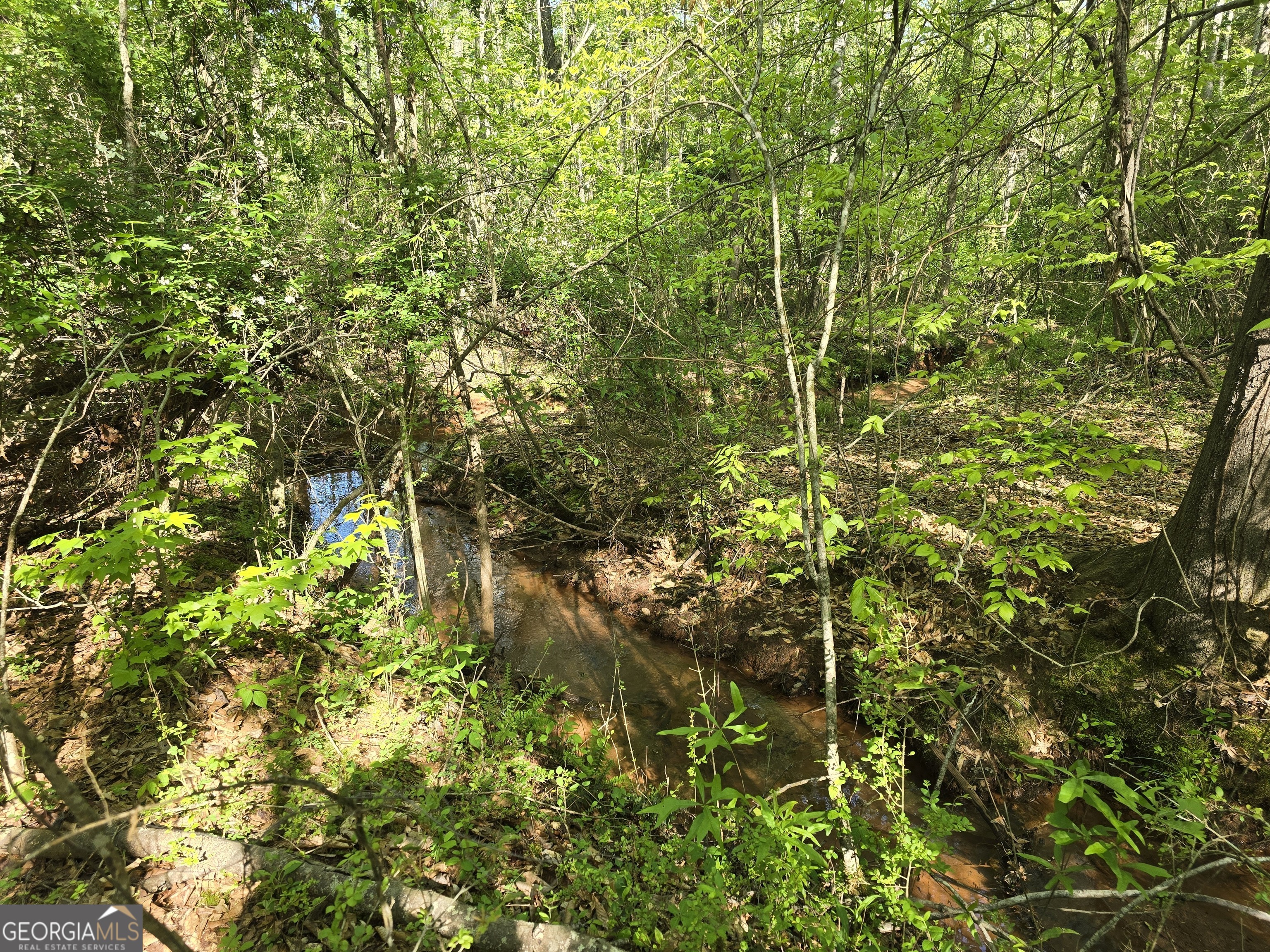 Lot 19 Smith Road Thomaston, GA 30286 - Photo 7 of 9 a view of a tree