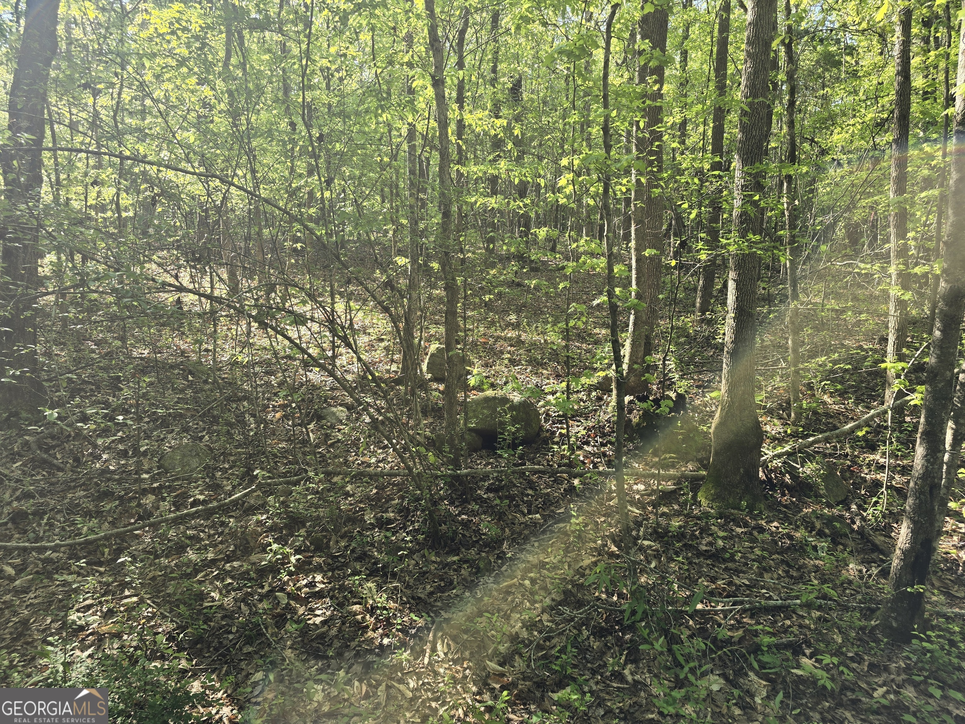 Lot 19 Smith Road Thomaston, GA 30286 - Photo 8 of 9