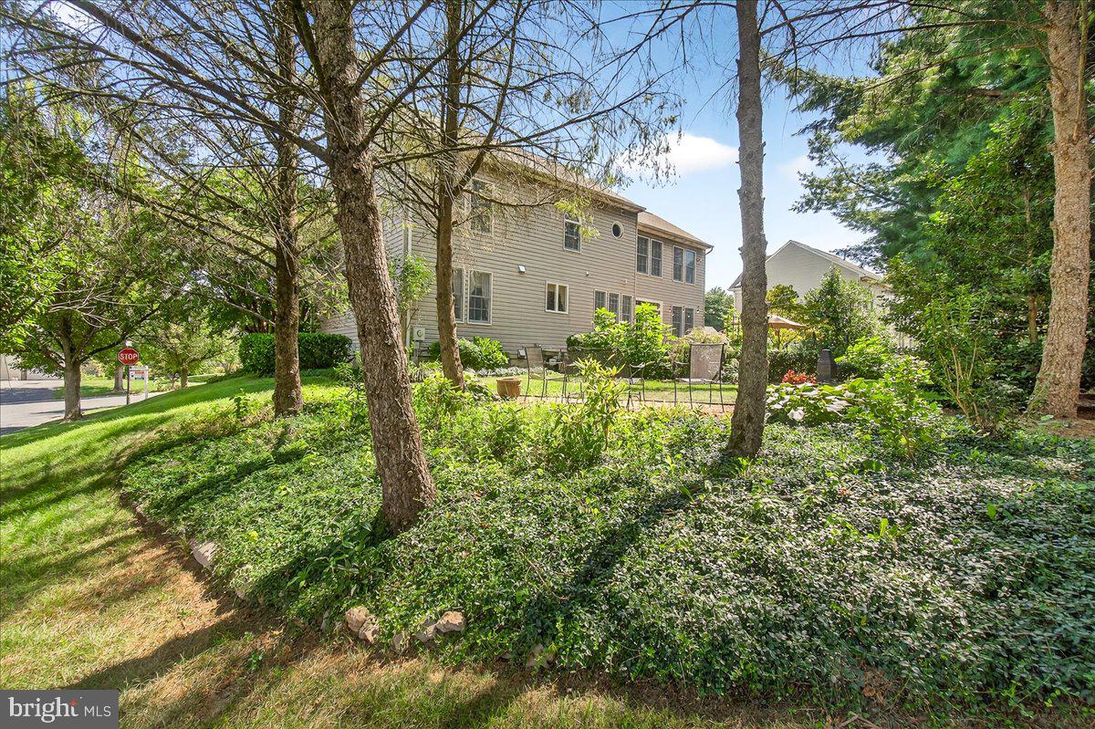 7010 Club House Circle New Market, MD 21774 - Photo 52 of 90 a backyard of a building with trees