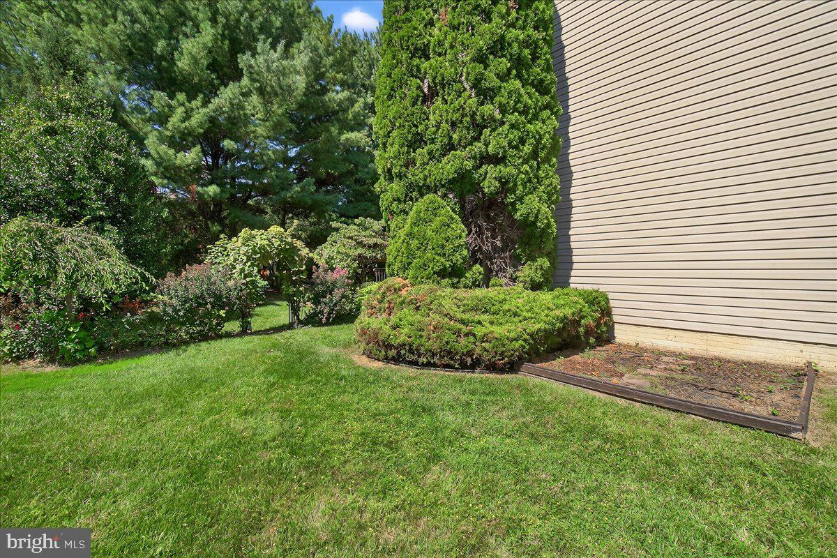 7010 Club House Circle New Market, MD 21774 - Photo 55 of 90 a view of a backyard with plants and large tree