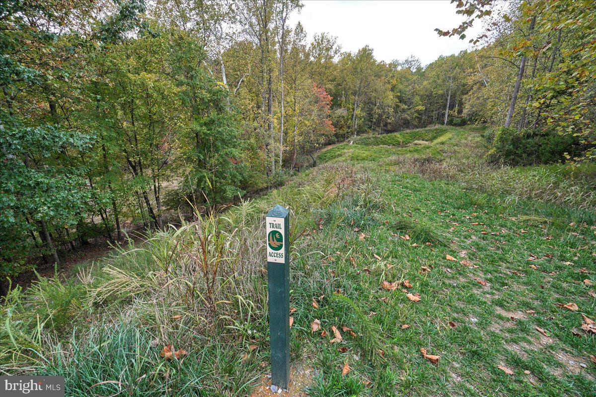 7010 Club House Circle New Market, MD 21774 - Photo 75 of 90 a view of a garden with trees
