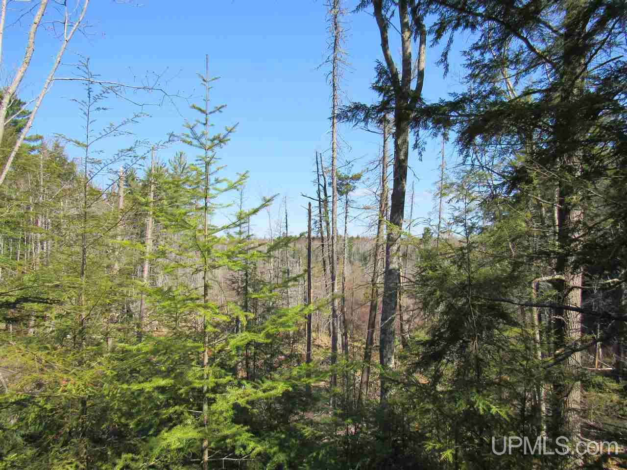 N2510 Co Rd Kch Big Bay, MI 49808 - Photo 25 of 39