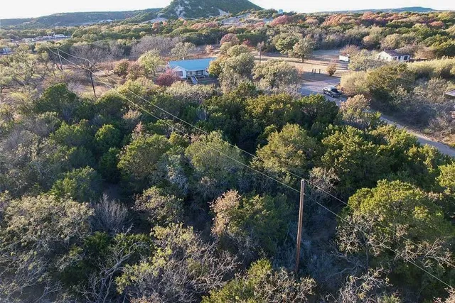a view of a forest with a lake