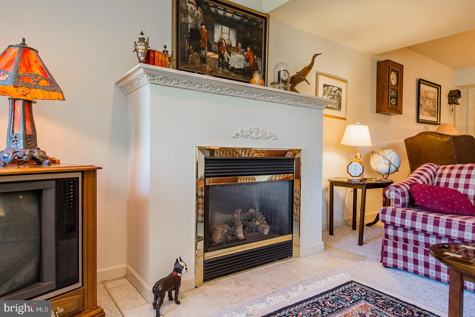 110 Sutherland Road Lancaster, PA 17603 - Photo 43 of 58 Gallery Image 43