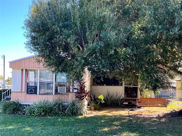 a view of a backyard with plants and large tree