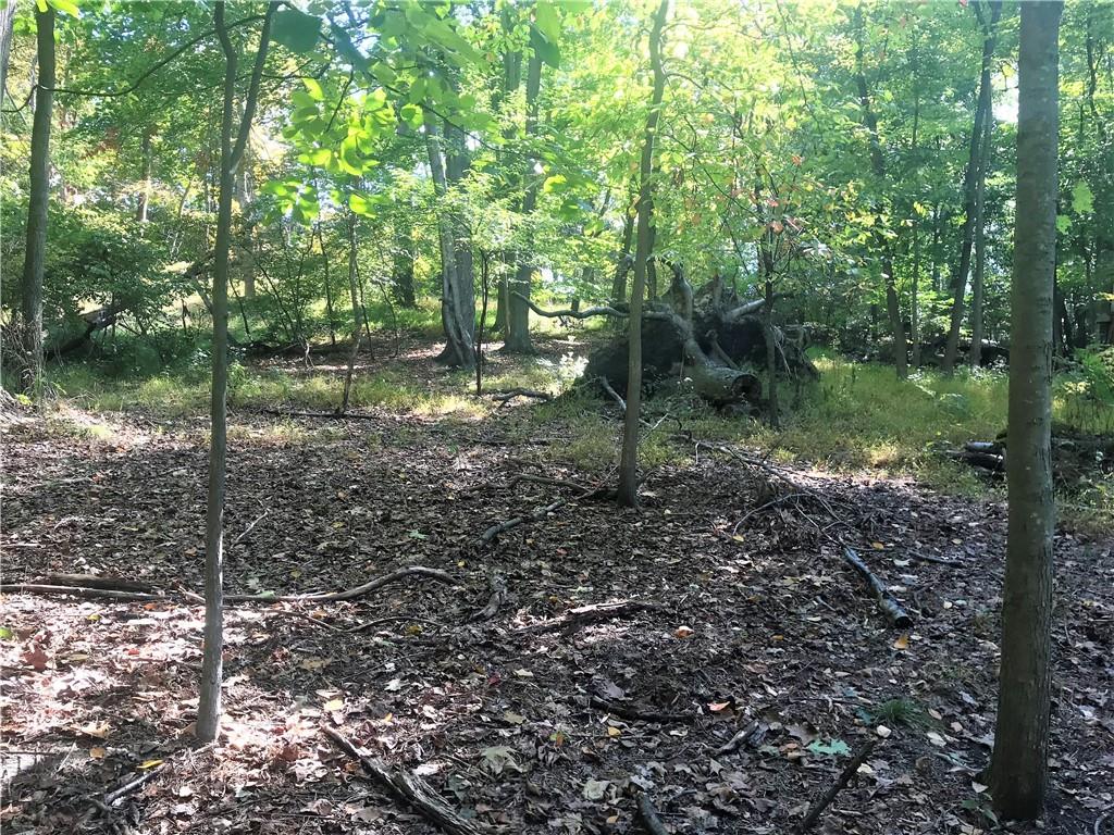 0 Low Grade Road Cheswick, PA 15024 - Photo 1 of 14 Gallery Image 1