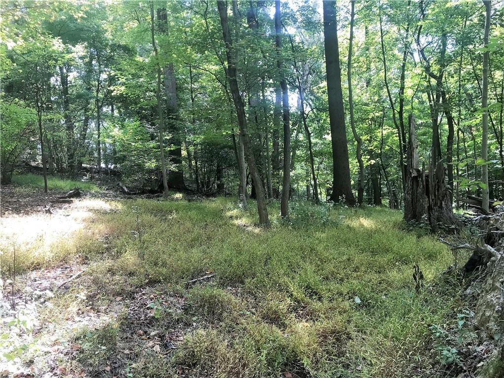 0 Low Grade Road Cheswick, PA 15024 - Photo 3 of 14 Gallery Image 3
