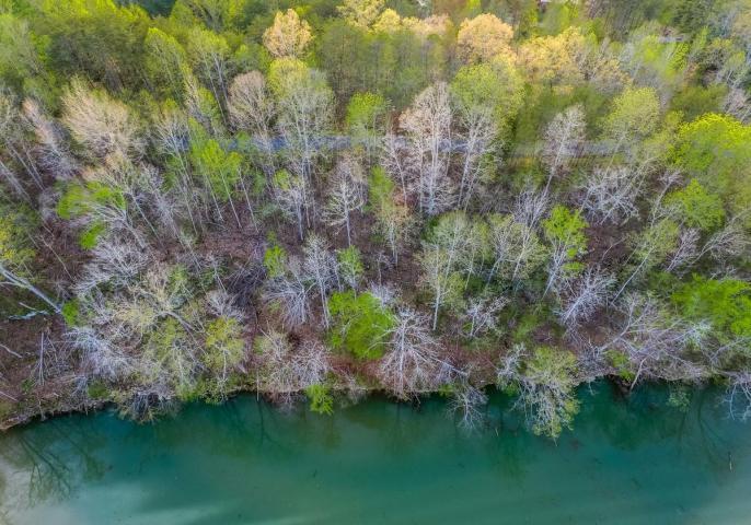 0 Chandler Road, Unit 2 Doyle, TN 38559 - Photo 1 of 1 1269276